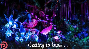 Five Things to Know About Na’vi River Journey | TouringPlans.com Blog