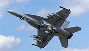 F/A-18E/F Super Hornet: its origin, purpose and performance