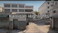 Karrigan vs Vitality Highlights