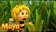 Maya and Willy are born - Part 3 - Maya the Bee