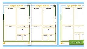 KS1 Bee Fact File Differentiated Worksheets