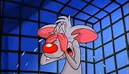 Pinky And The Brain - "Of Mouse And Man" Clip