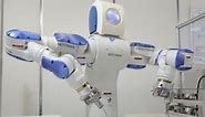 Domestic robot or Service Robots types, advantages and disadvantages | Science online