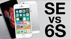 iPhone SE vs iPhone 6S - which should you buy?