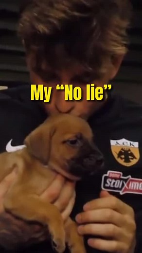 1st Video #AEK #football #greece #fy #fyp #nolie