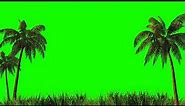 Palm Trees Green Screen Free Background Videos, No Copyright | All Background Videos