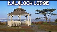 Kalaloch Lodge - Oceanside Retreat Cabin Review & Sunset Beach Exploration | Washington