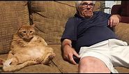 Humans and Cats, Best Friends Forever - Cute Moments Between Cat And Owner