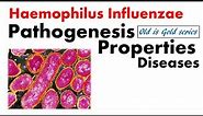 Haemophilus influenzae Microbiology | pathogenesis, Culture, lab diagnosis
