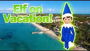 Elf on the Shelf on Vacation! Blue Elf Goes to Turks & Caicos with DavidsTV