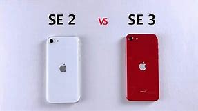 iPhone SE3对比iPhone SE2有什么提升