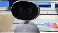 Asus Zenbo Junior: Advanced Robot Helps Kids Code
