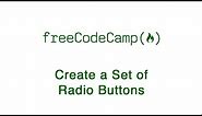 Basic HTML and HTML5: Create a Set of Radio Buttons | freeCodeCamp