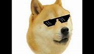 WHERE IS THE DOGE HAT???(ROBLOX DOGE CODES)