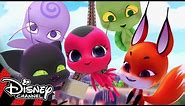 Miraculous Ladybug | Meet the Kwamis! ✨| Disney Channel UK