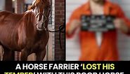 Sign Now: Stop Horse Abuse