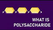What are polysaccharides?