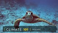 Marine Habitat Destruction -- National Geographic