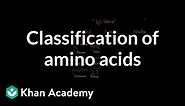Classification of amino acids | Chemical processes | MCAT | Khan Academy