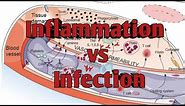 3 Major Differences Between Inflammation and Infection | Inflammation VS Infection