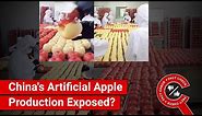 FACT CHECK: Artificial Apples Produced in China Sold as Real Fruit?