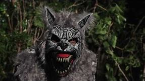 Werewolf Animotion Mask at Spirit Halloween