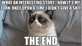 The 50 Funniest Grumpy Cat Memes