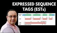 What are Expressed Sequence Tags (EST)? | Genomics