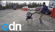 Watch robot dog 'Spot' run, walk...and get kicked