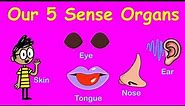 Sense Organs | 5 Sense organs of our Body | Learn Sense Organs for Kids |