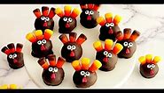 How to decorate Turkey Cake Pops