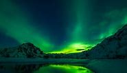 Aurora Borealis, Northern Lights, Snow. Free Stock Video