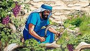 Parable of the Vine & the Branches Bible Lessons & Activities for Kids