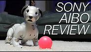 Sony Aibo Review: This Robot Dog Is STILL Learning New Tricks!