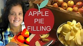Freezer Apple Pie Filling