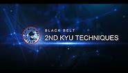 2nd Kyu Aikido Black Belt Techniques