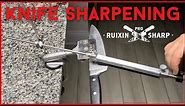 Sharpening a Kitchen Knife w/ Ruixin Pro Sharp Knife Sharpener