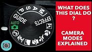 Canon, Nikon beginners start here. Camera modes explained - auto v manual modes