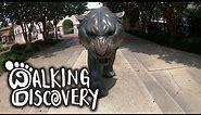 Louisiana State University (LSU) Campus Tour - Baton Rouge - Walking Discovery