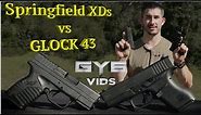 Springfield XDs -vs- GLOCK 43 [ Best Concealment Handgun ? ]