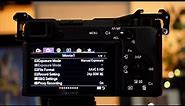 How to Setup the Sony a6600 for Video | Every Menu, Every Setting