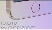 Touch ID: как работает сканер отпечатков пальцев в iPhone 5s