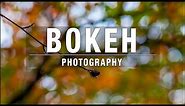Bokeh Photography – The Easy Way