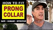 How To Fit a PRONG COLLAR on your DOG - Sizing Fit and Use - Robert Cabral - Dog Training Video