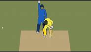 Animation Cricket:: who is the bowler and fielder ?? #animationcricket