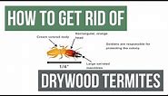 How To Get Rid of Drywood Termites Guaranteed- 4 Easy Steps