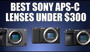 Best Ultra Budget Autofocus Sony APS-C Lenses That Will Give You That WOW factor