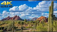 Phoenix to Tucson Complete Arizona Scenic Drive 4K