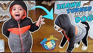 SHAWN turns into PUPPY Oreo + Secret Bat Cave Hideout (FUNnel Family Vlog)