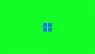 Windows 11 Startup Green Screen